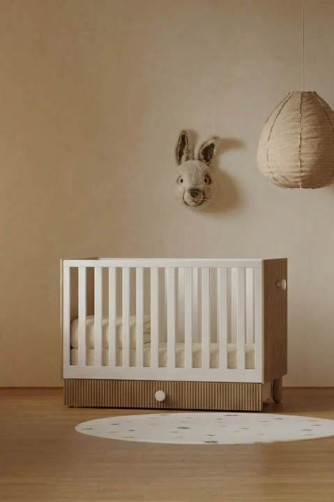 sgsdgdhdhh.jpg